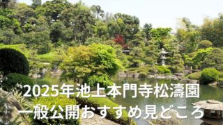 アイキャッチ　松濤園一般公開