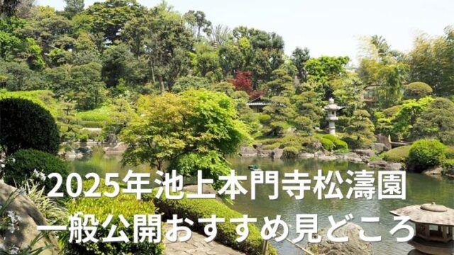 アイキャッチ　松濤園一般公開