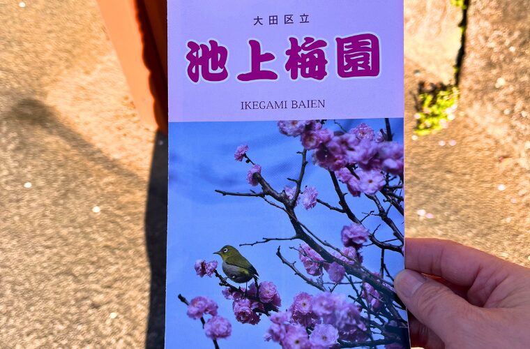 池上梅園パンフレット