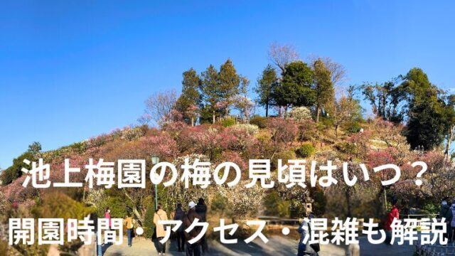 【2026年版】池上梅園の梅の見頃はいつ？開園時間・アクセス・混雑も解説