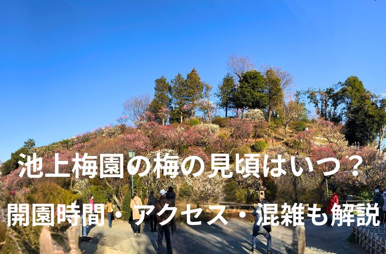 【2026年版】池上梅園の梅の見頃はいつ？開園時間・アクセス・混雑も解説