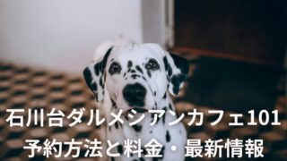 石川台ダルメシアンカフェ101 予約方法と料金・最新情報
