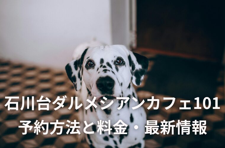 石川台ダルメシアンカフェ101 予約方法と料金・最新情報